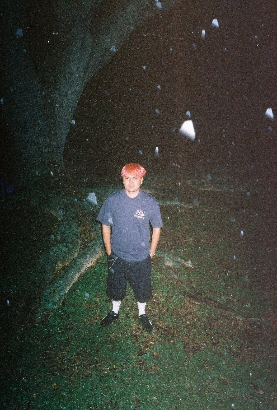 Kabuto Mushi tee